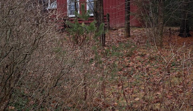 Up country guest house