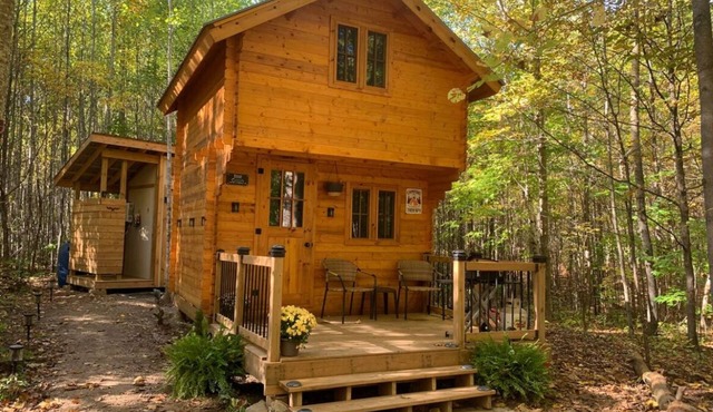 Wake Up Slow Wood fire, forest sauna & silence