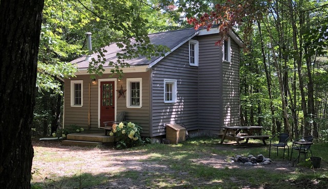 Waterfront Cabin Tucked into the Forest