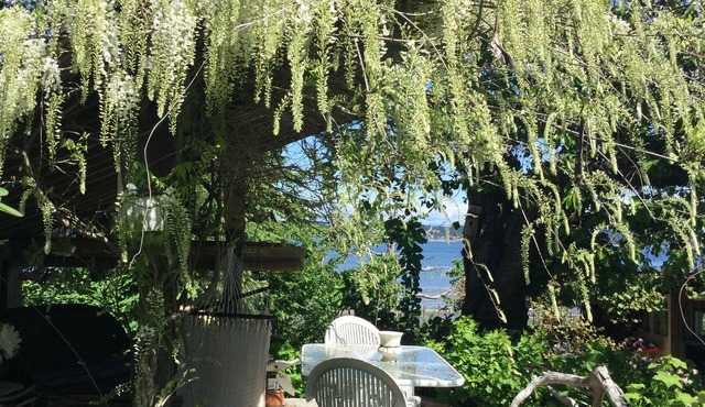 Waterfront Getaway while visiting family, near Bike Trails, and Nature Walks.