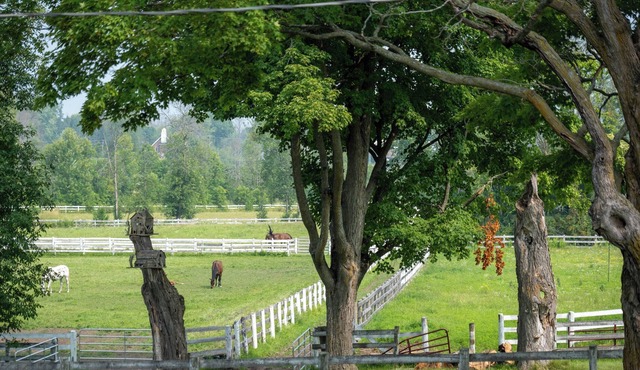 Welcome to Haven Barn! Mins from a Beach situated on a beautiful horse farm!