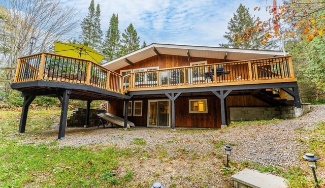 Whispering Pines-Unlimited Wi-Fi, Gym Equipment, Pet-friendly