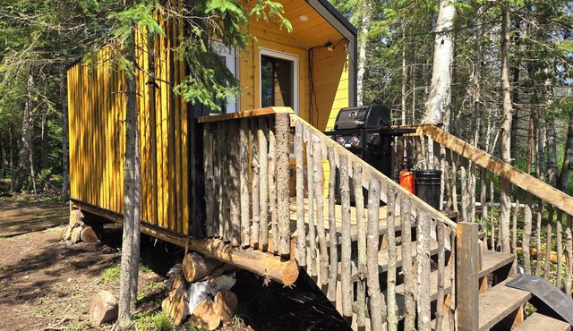 Wood Duck Cabin, No Neighbours, Drive too, Pet Friendly