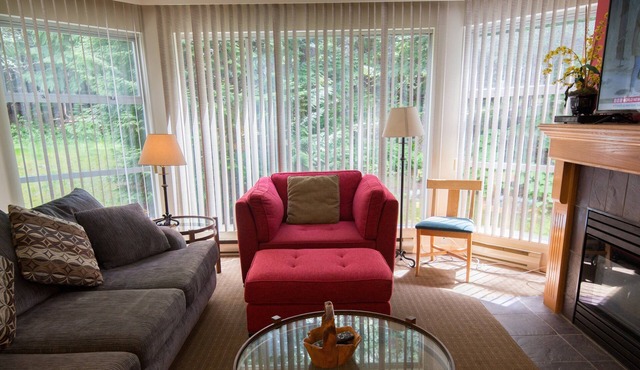 Woodrun Lodge - True Ski In/Ski Out, Pool, Hot Tub, Perfect for Families