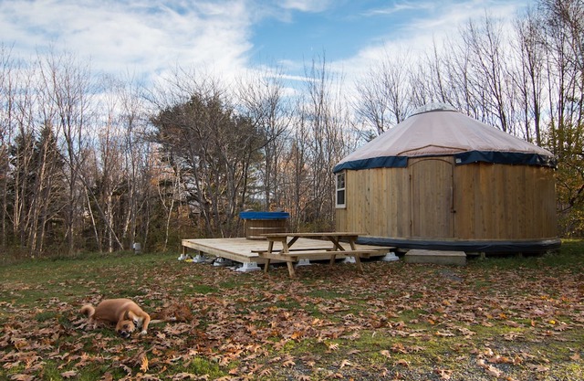 Cedar Yurt at Cabot Shores Wilderness Resort