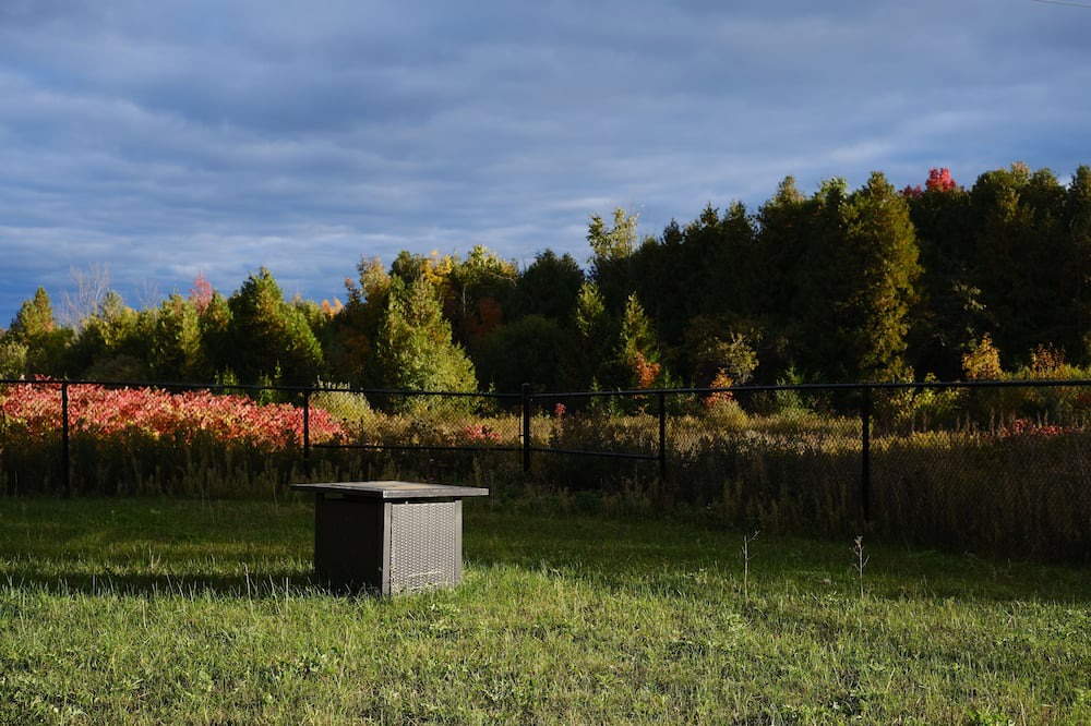 Photo of Outdoor in Pickering