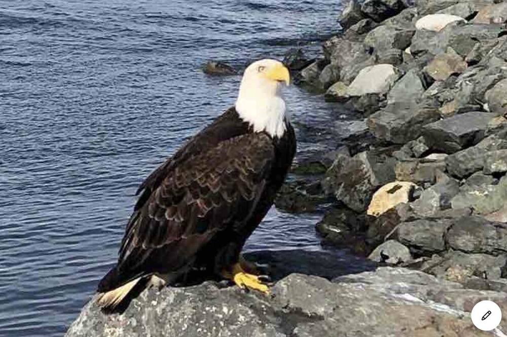 Photo of Others in Campbell River