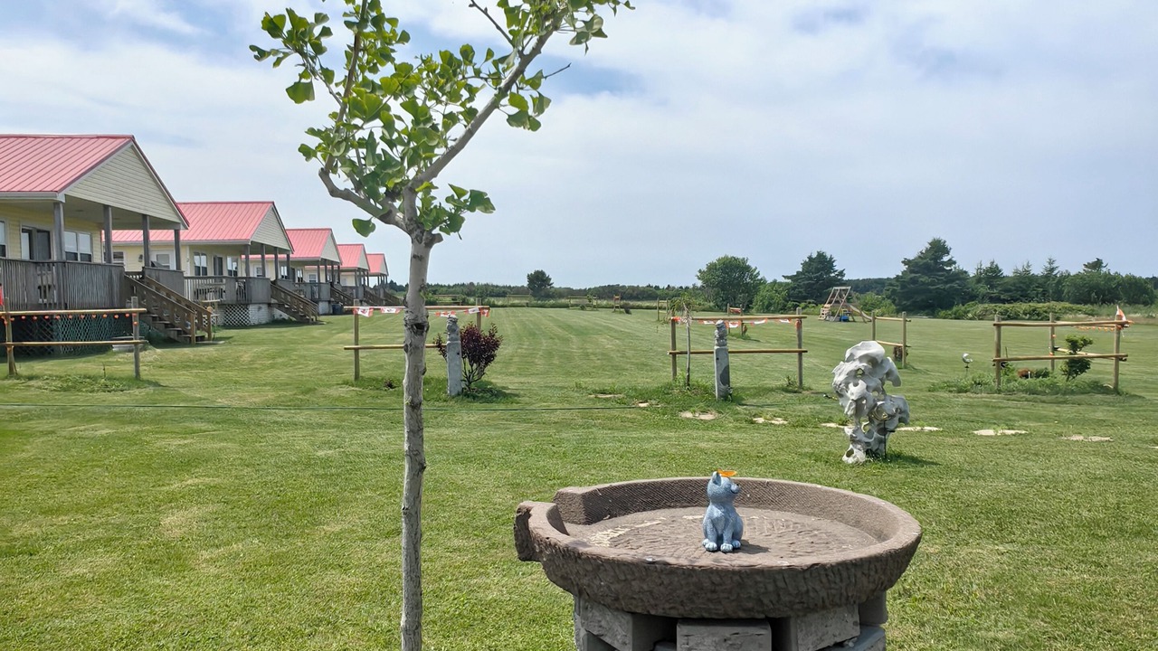 Photo of Outdoor in Green Gables