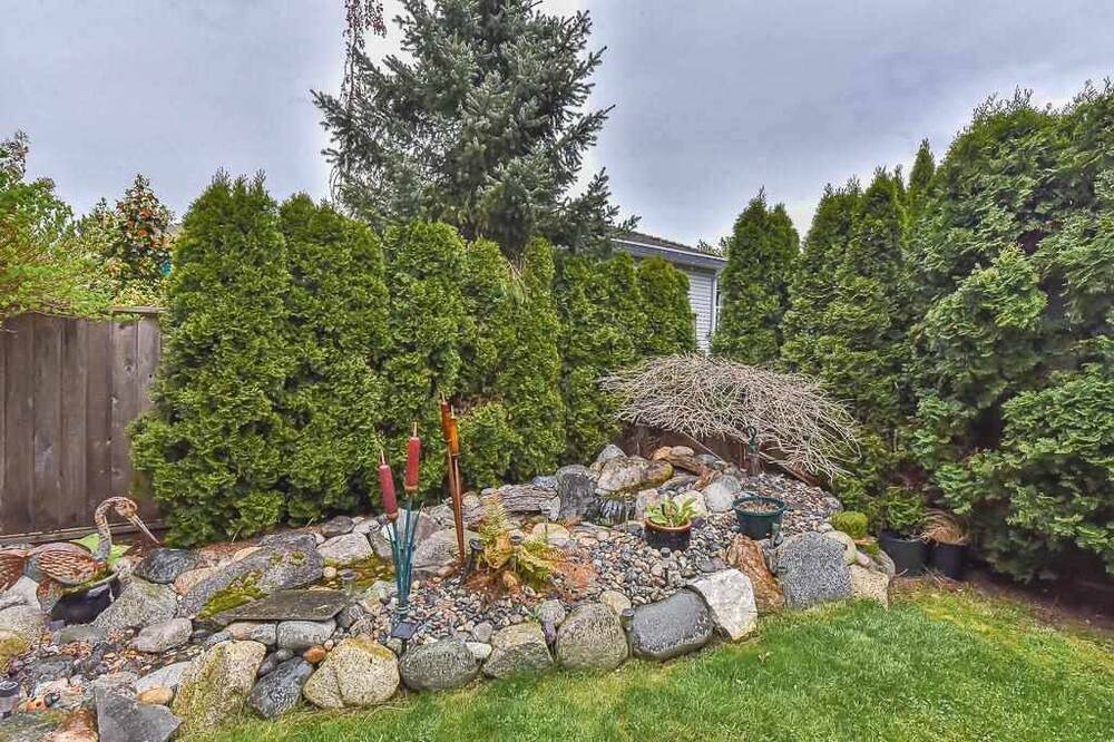 Photo of Outdoor in Maple Ridge