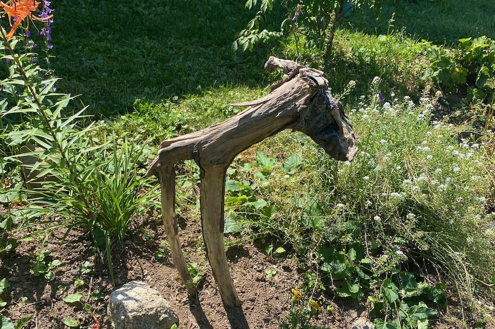 Photo of Outdoor in Cornwallis