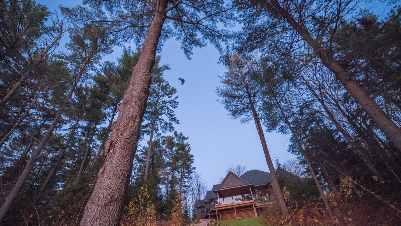 Photo of Outdoor in Lake of Bays