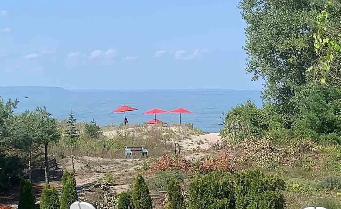 Photo of Outdoor in Tiny