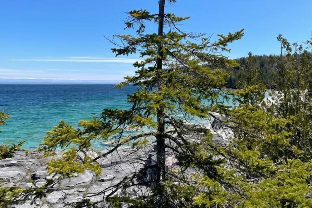 Photo of Others in Tobermory