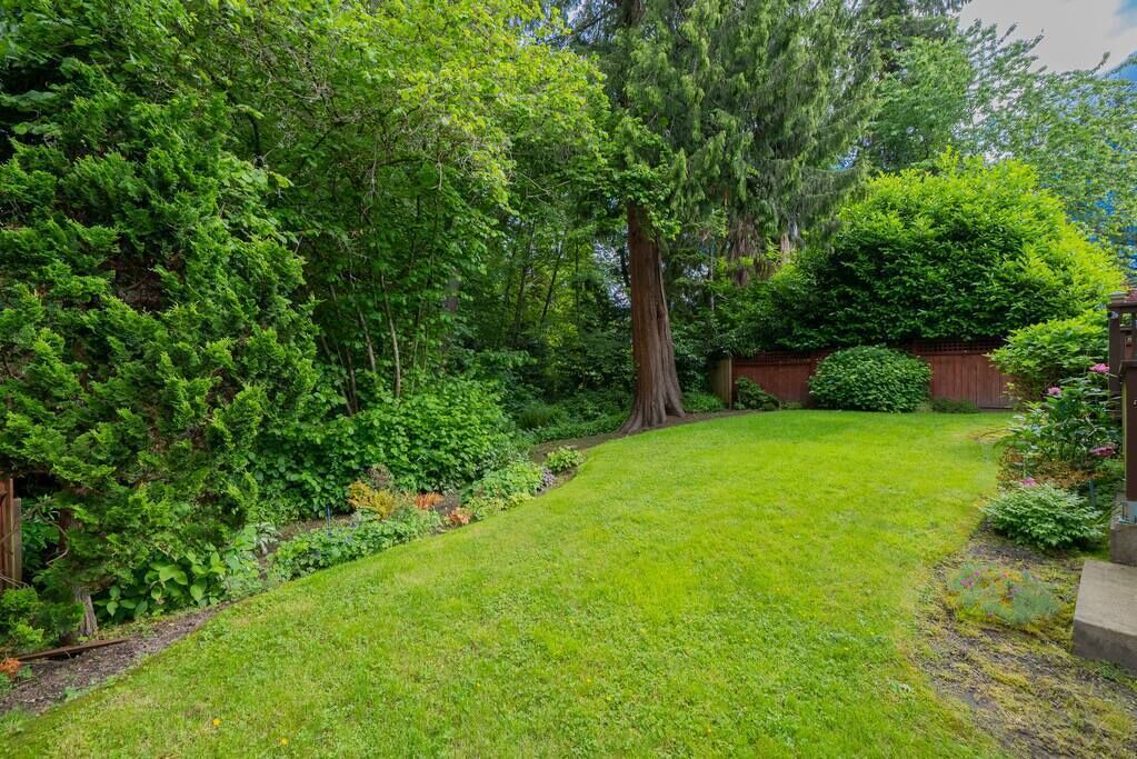 Photo of Outdoor in Lynn Valley