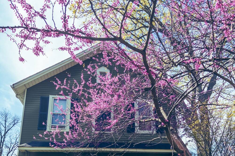 Photo of Outdoor in Pittsford