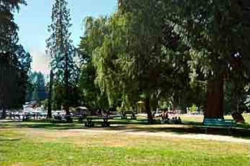 Photo of Outdoor in Maple Ridge