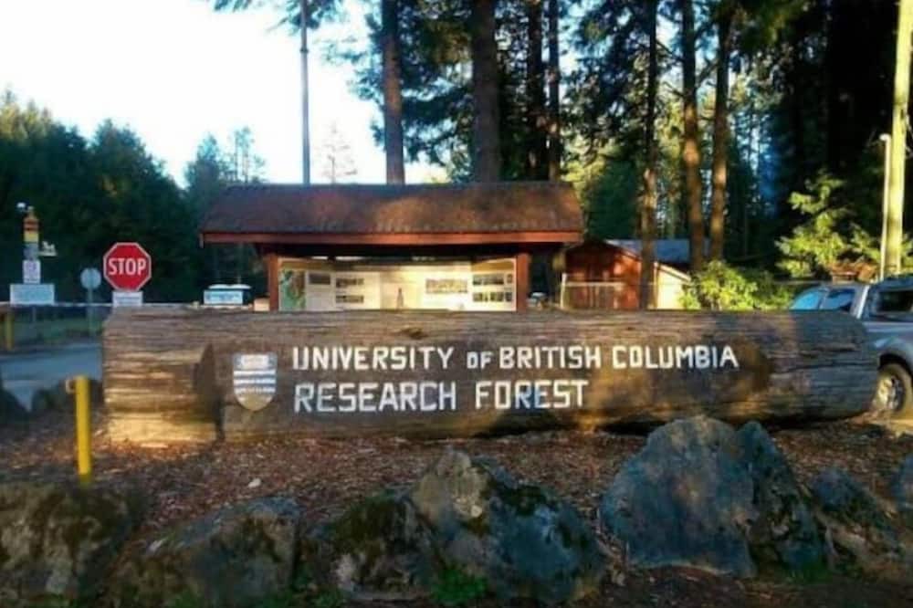Photo of Others in Maple Ridge
