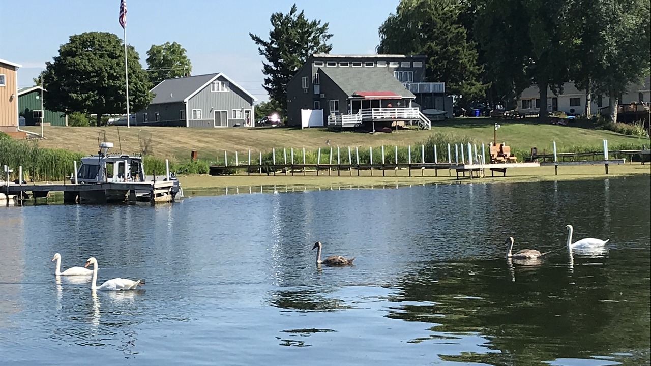 Photo of Outdoor in Albion