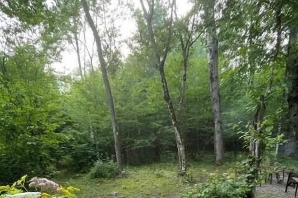 Photo of Others in Smithville Flats