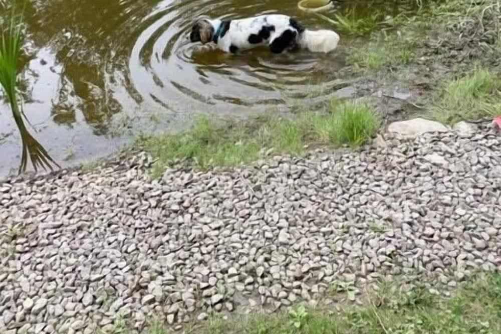 Photo of Others in Smithville Flats