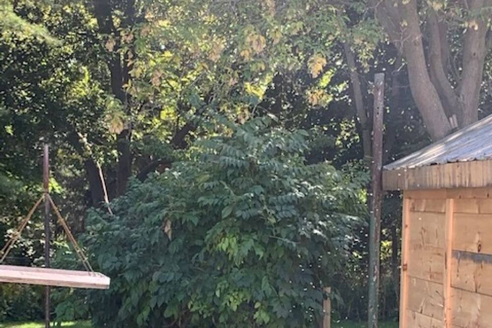 Photo of Outdoor in Prince Edward