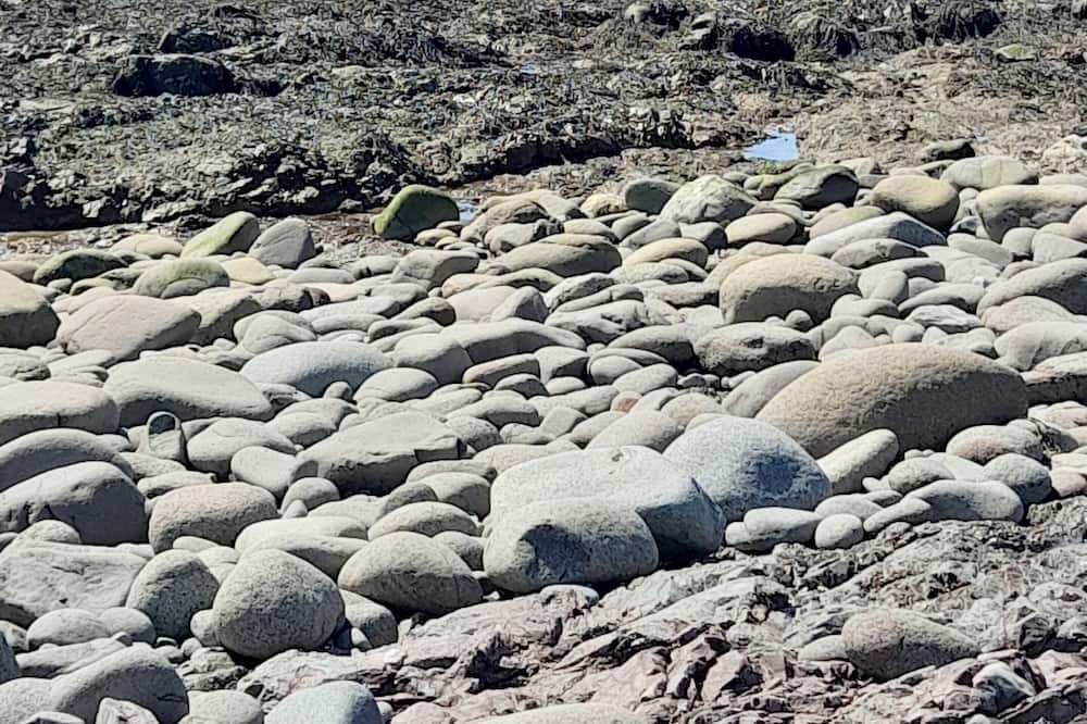 Photo of Others in Grand Manan Island