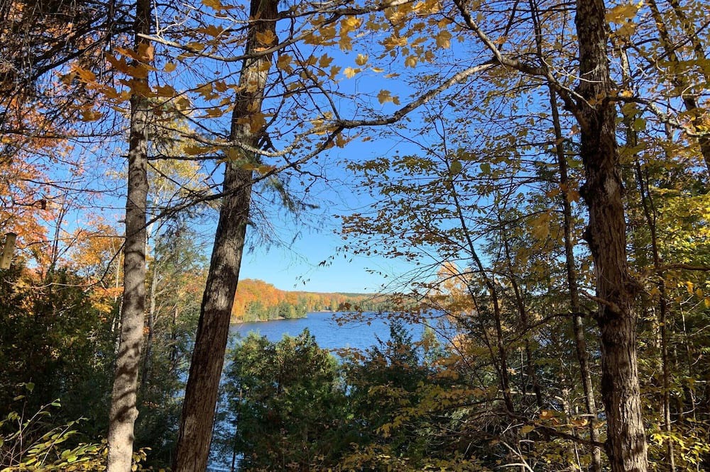 Photo of Others in Chandos Lake