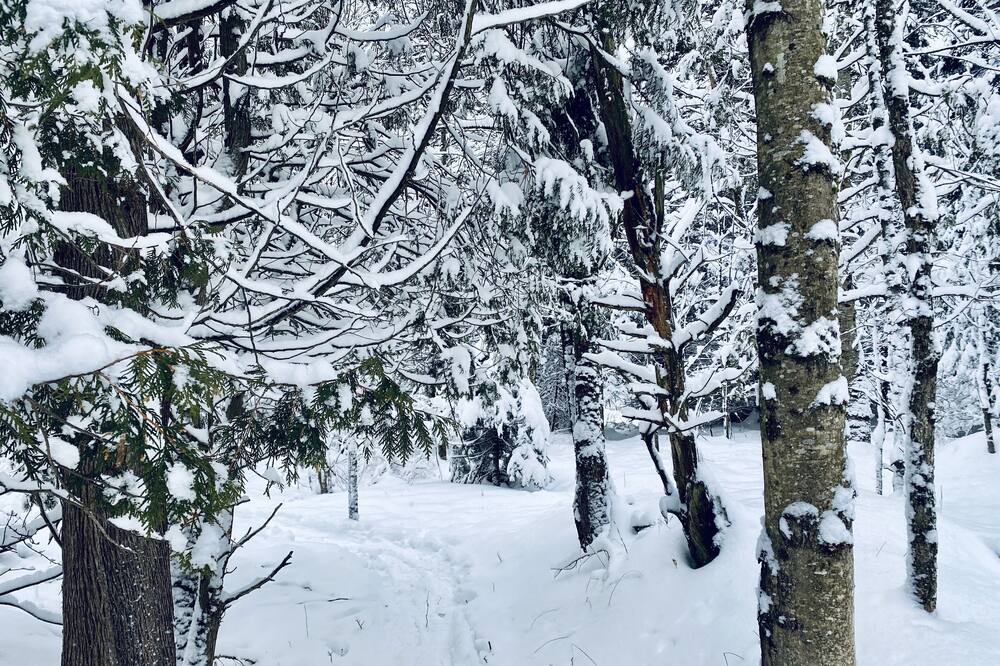 Photo of Outdoor in Lac-Brome