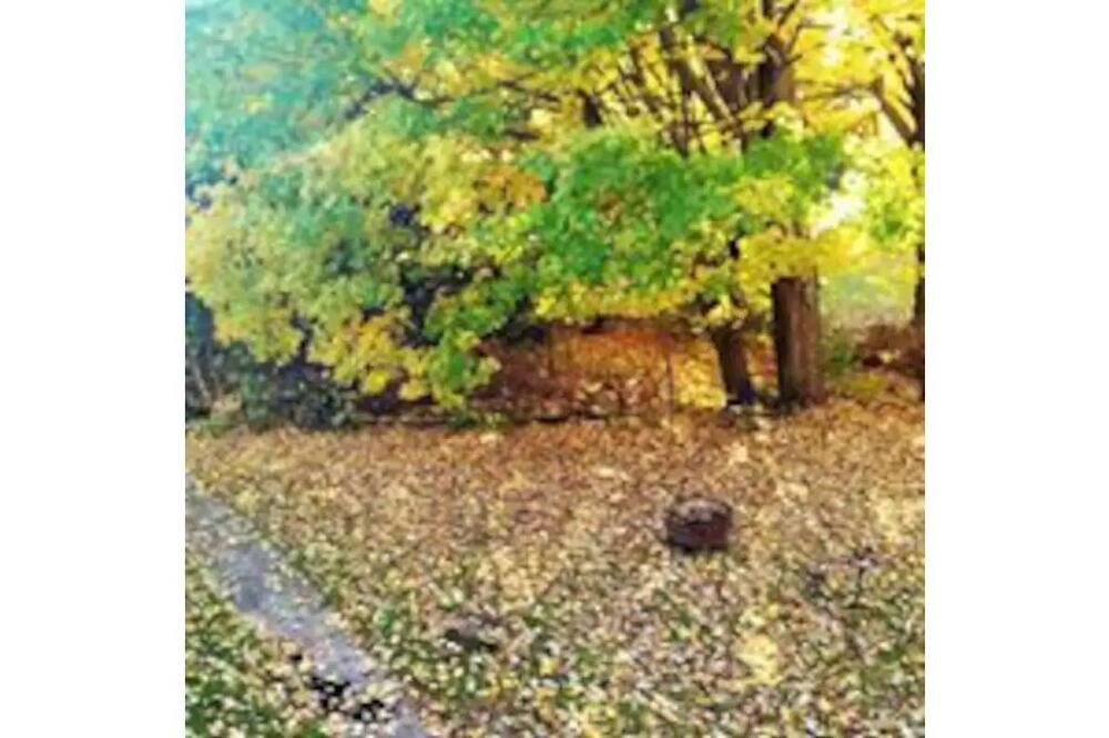 Photo of Outdoor in North Kingsville
