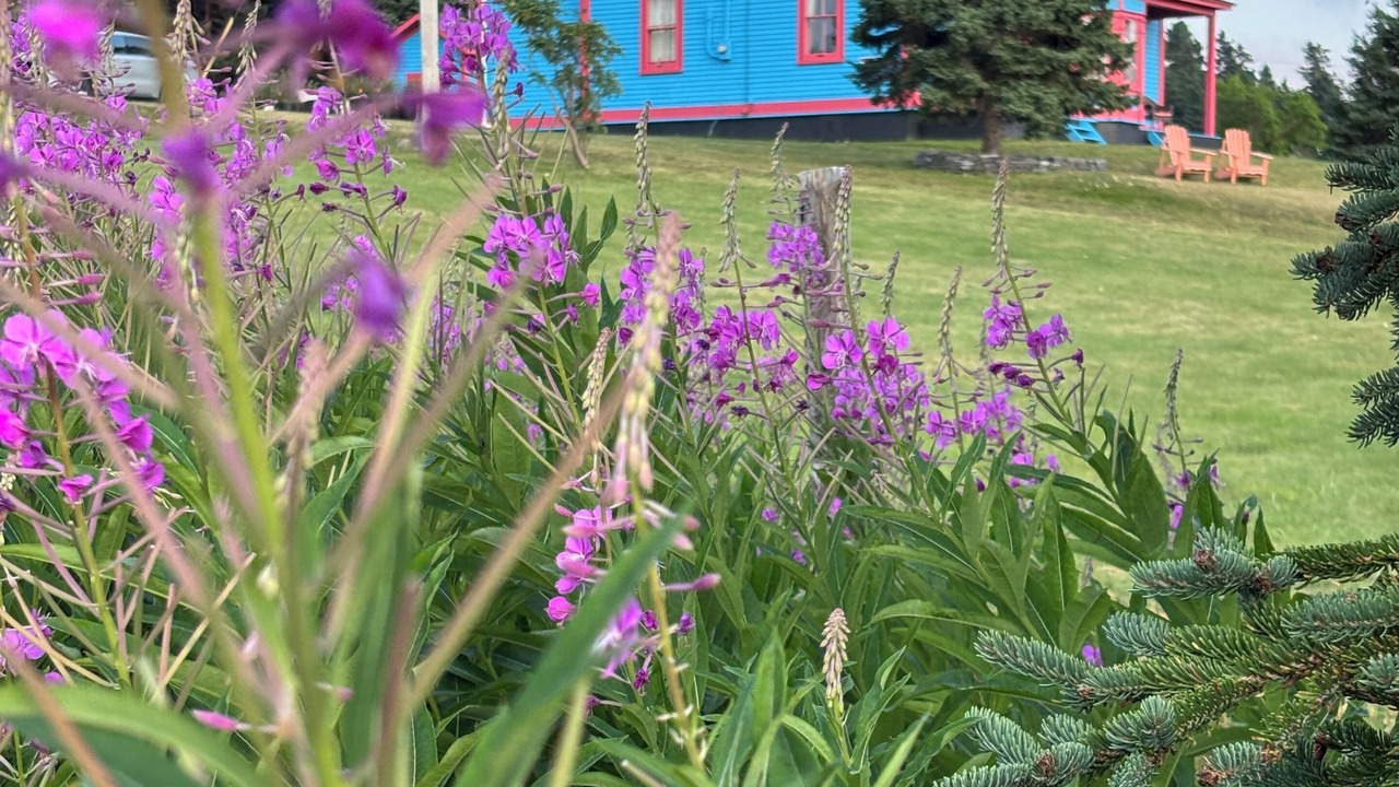 Photo of Outdoor in Dildo