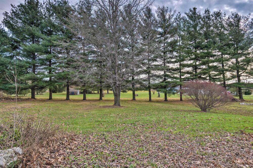 Photo of Others in Auburn