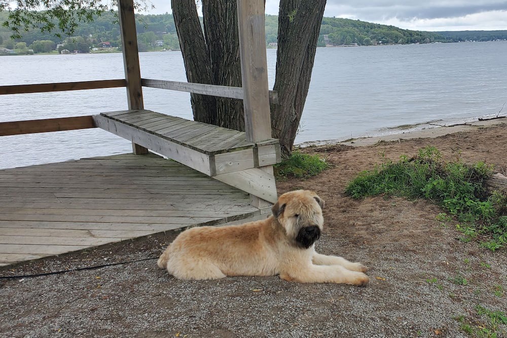 Photo of Outdoor in Penetanguishene