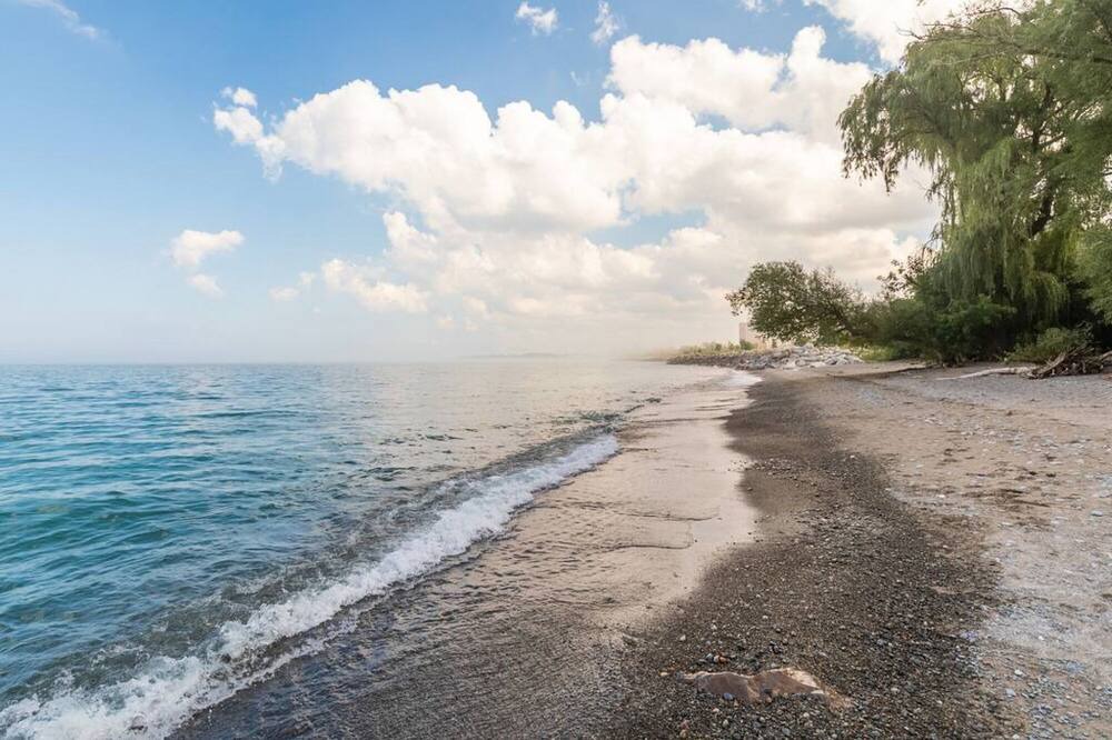 Photo of Others in Stoney Creek