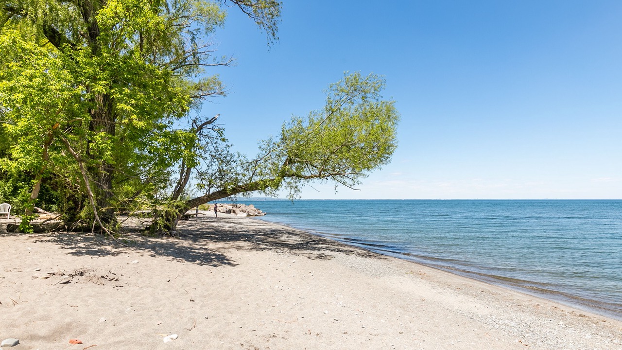 Photo of Others in Stoney Creek