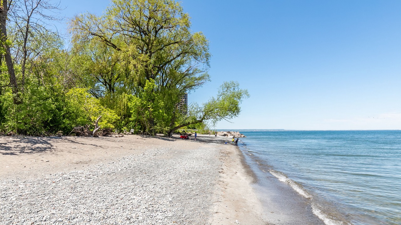 Photo of Others in Stoney Creek