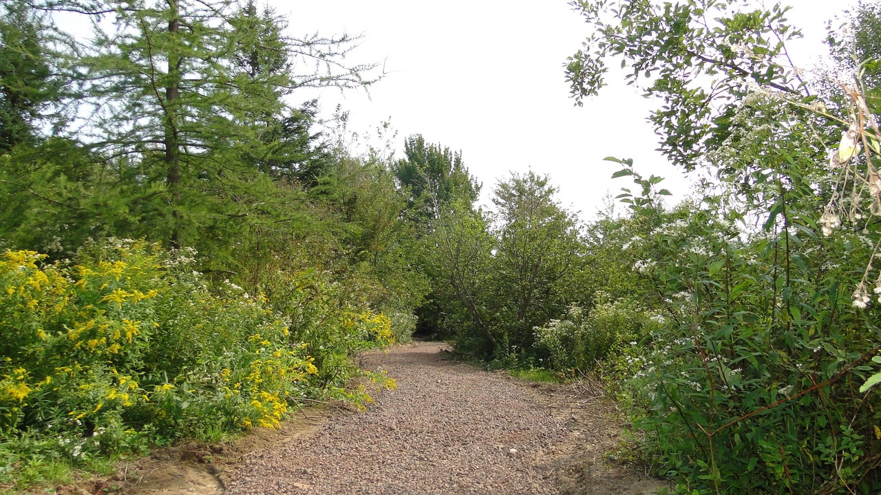 Photo of Outdoor in Lakeville
