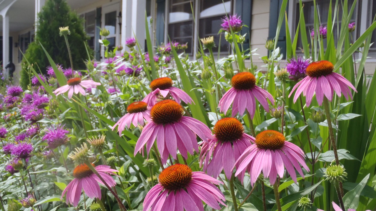 Photo of Outdoor in Erie