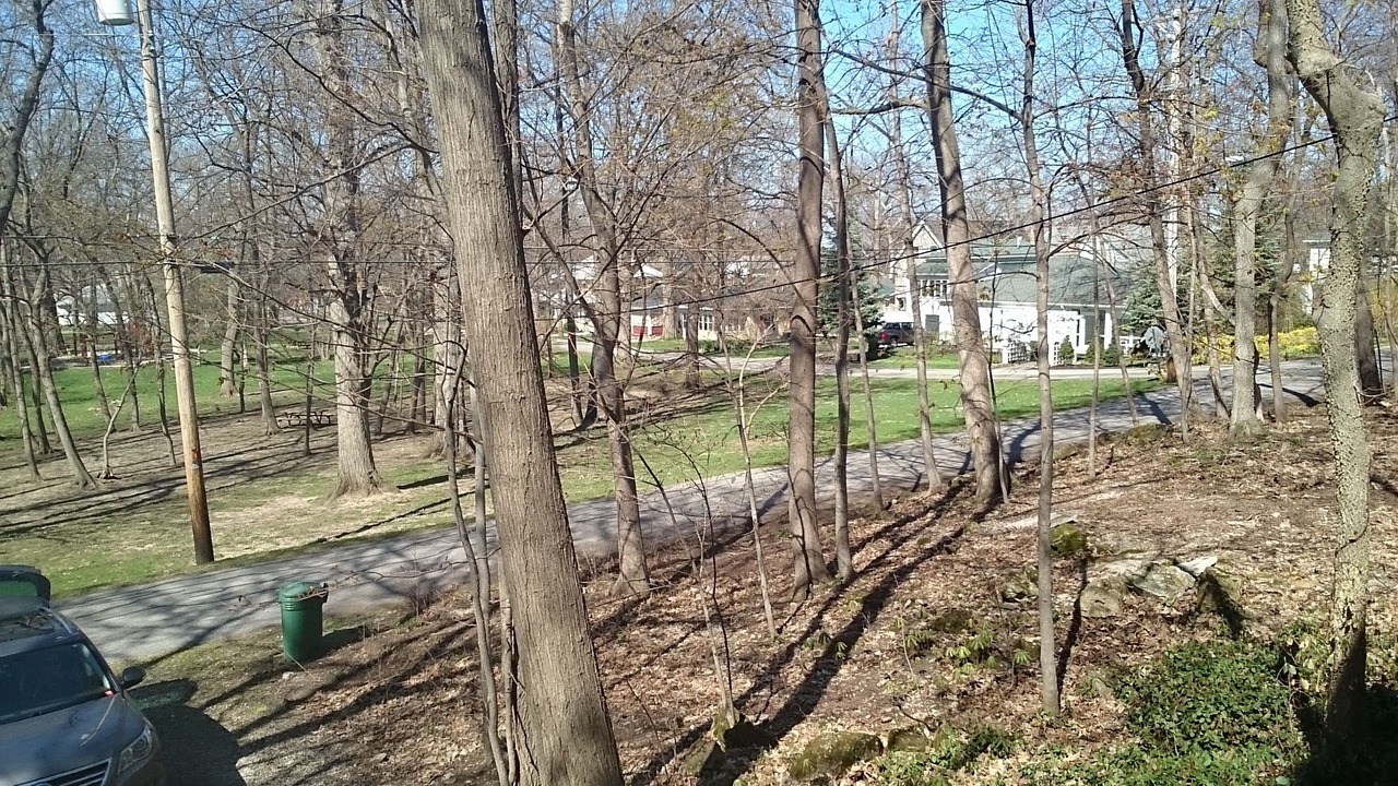 Photo of Outdoor in Lakeside