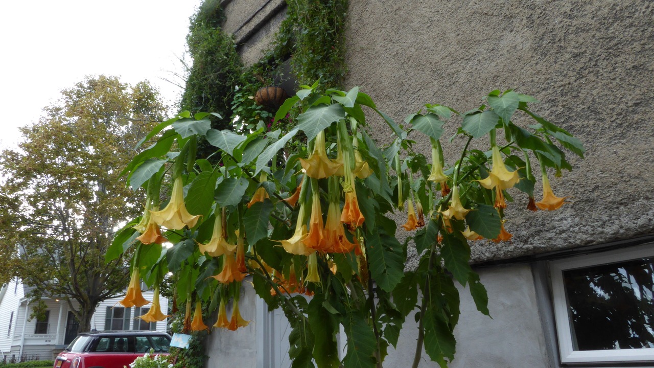 Photo of Outdoor in Ithaca