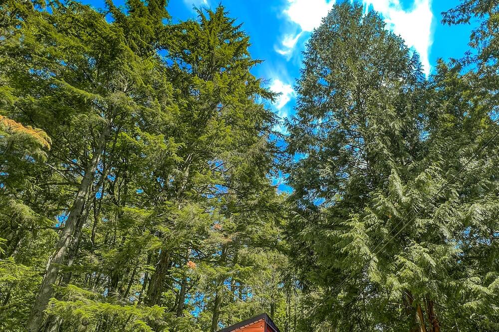 Photo of Outdoor in Maple Ridge