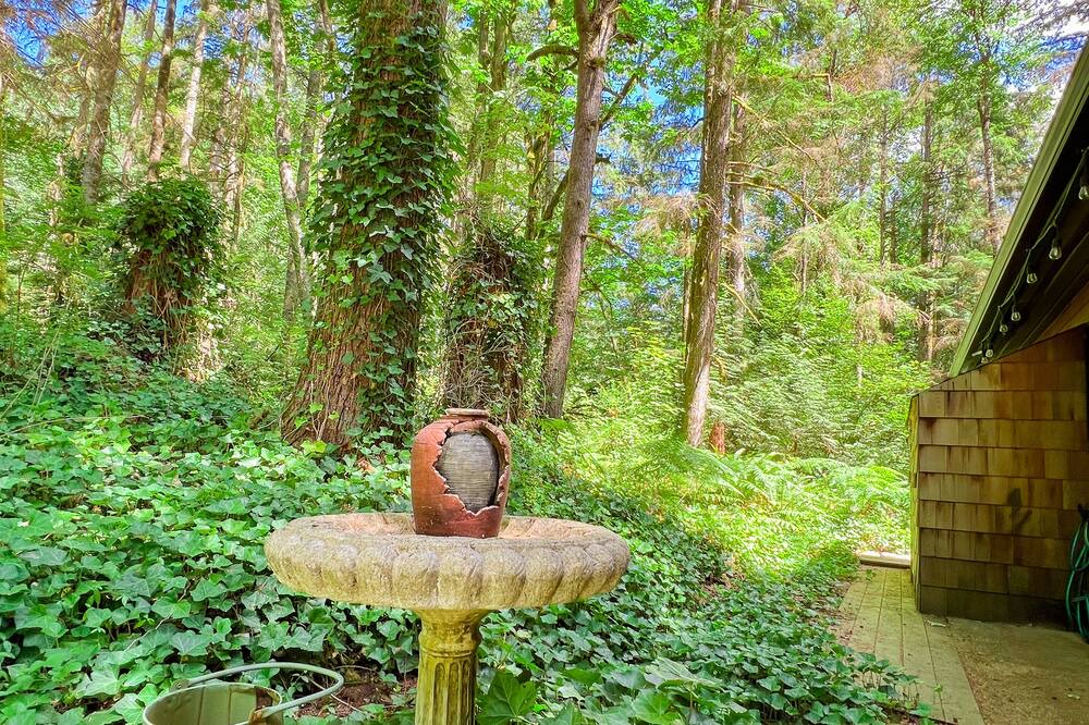 Photo of Outdoor in Maple Ridge