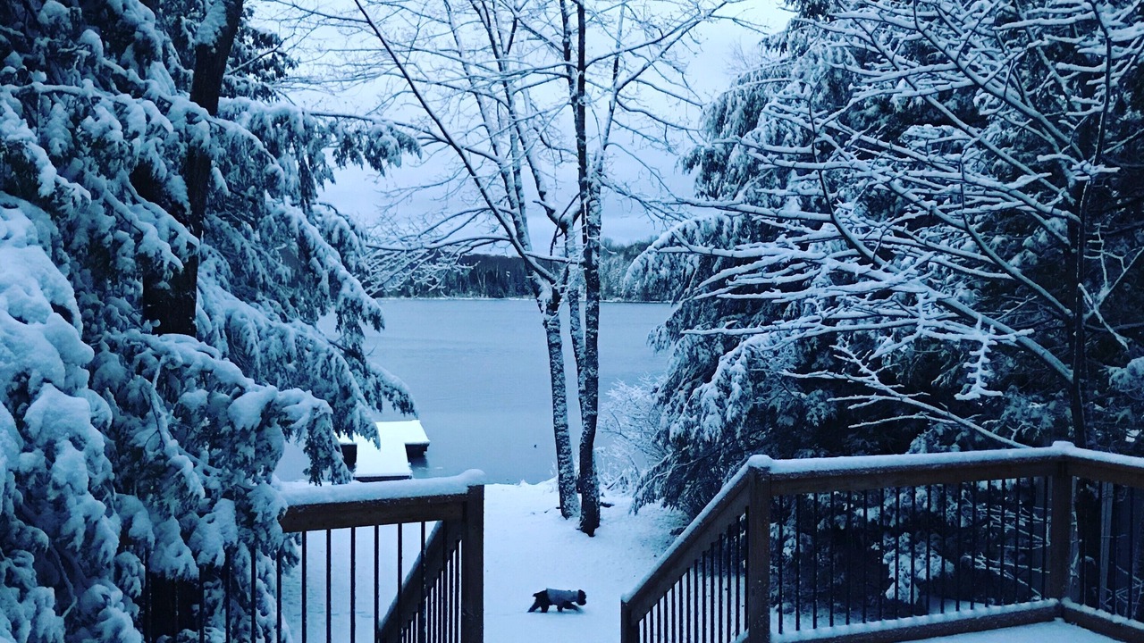 Photo of Outdoor in Minden Hills