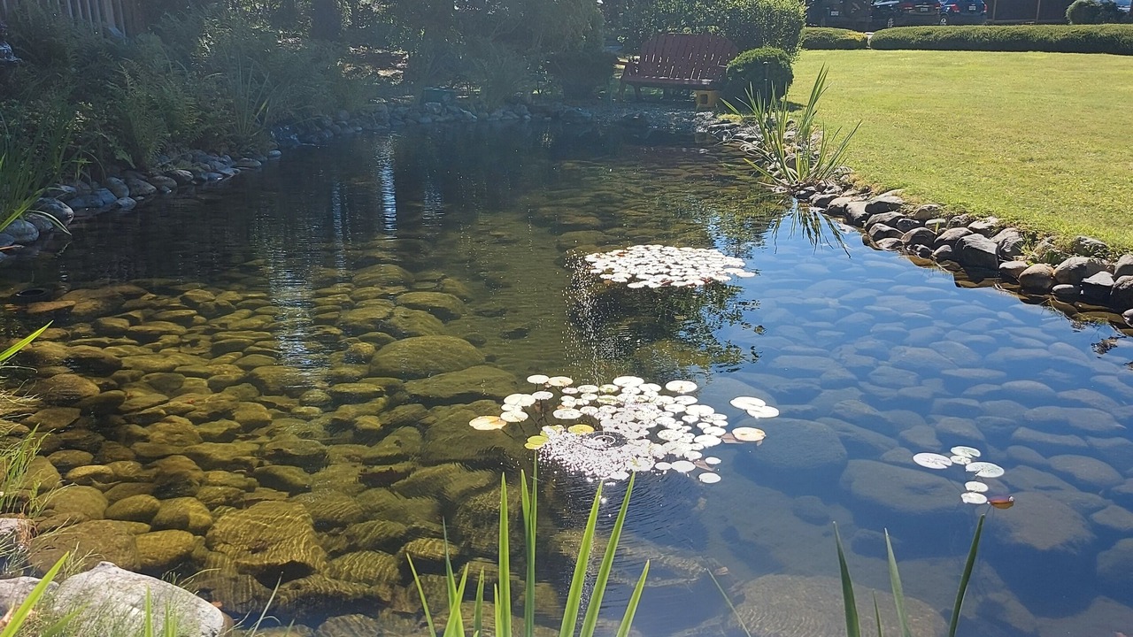 Photo of Outdoor in Regional District of Nanaimo