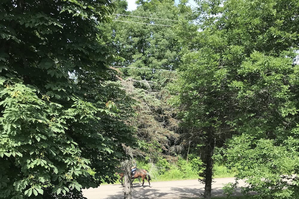 Photo of Outdoor in Portage