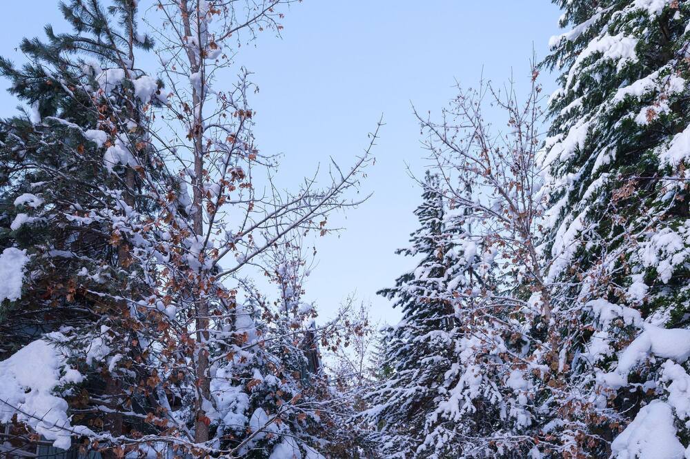 Photo of Outdoor in Upper Village
