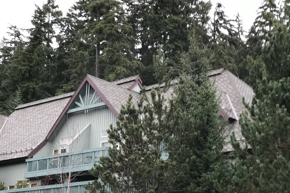 Photo of Others in Upper Village