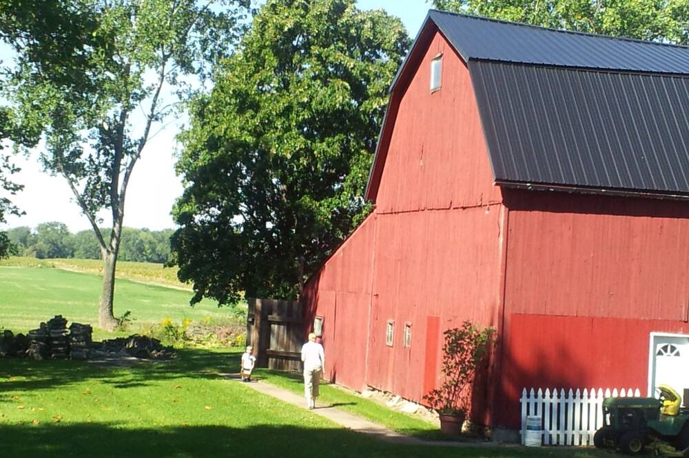 Photo of Others in Albion