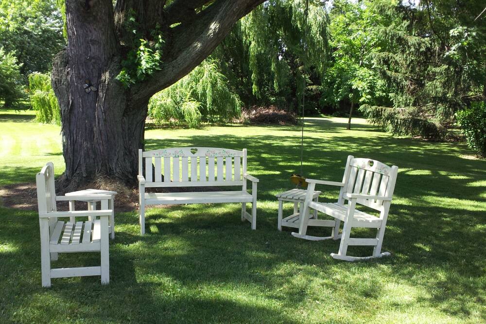 Photo of Others in Albion