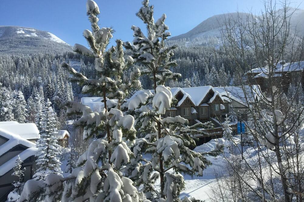 Photo of Outdoor in Panorama