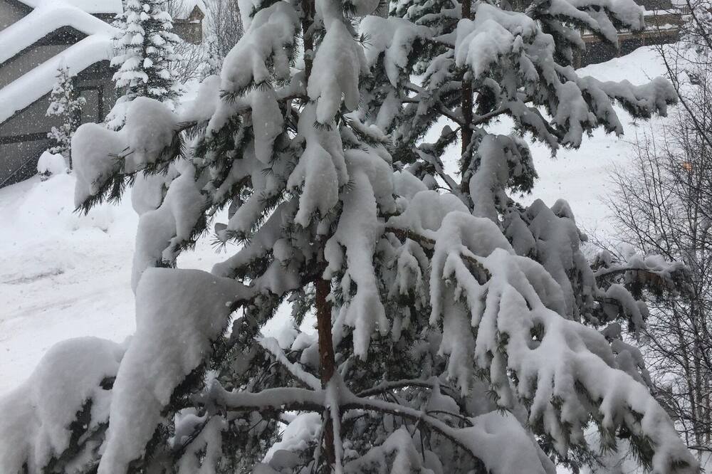 Photo of Outdoor in Panorama